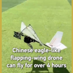 Chinese_Bio_Inspired_Drones_Achieve_Breakthrough_in_Flight_Endurance video poster