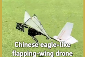 Chinese_Bio_Inspired_Drones_Achieve_Breakthrough_in_Flight_Endurance video poster