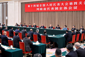 Chinese_Leaders_Engage_in_Key_NPC__CPPCC_Deliberations
