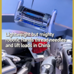 Chinese_Robotics_Breakthroughs_Shine_at_2026_ZGC_Forum video poster