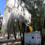 Chinese_Scientists_Unveil_Pollen_Fixing_Spray_to_Combat_Spring_Allergies video poster