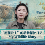 Chu_Wenwen__Inspiring_China_s_Youth_Through_Beaver_Led_Conservation video poster