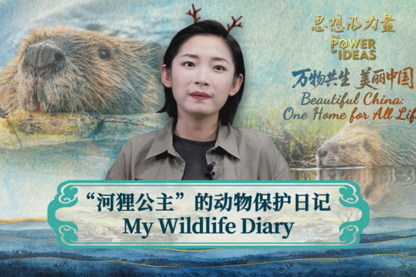 Chu_Wenwen__Inspiring_China_s_Youth_Through_Beaver_Led_Conservation video poster