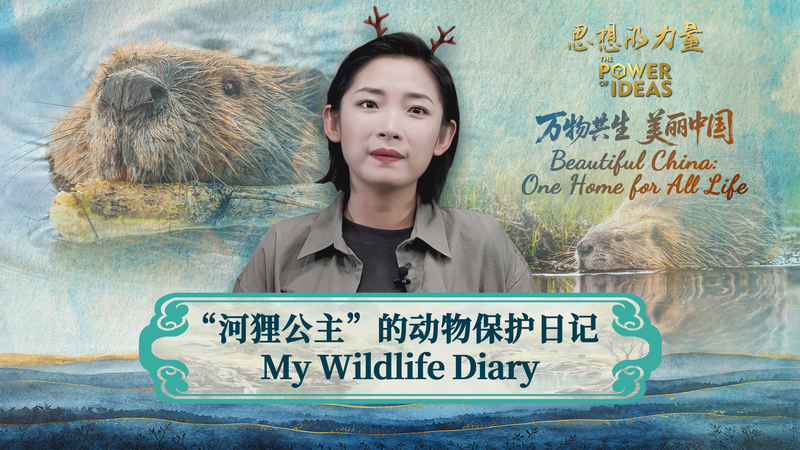 Chu_Wenwen__Inspiring_China_s_Youth_Through_Beaver_Led_Conservation_poster - Khabar Asia Chu_Wenwen__Inspiring_China_s_Youth_Through_Beaver_Led_Conservation video poster