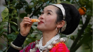 Deng_People_s_Resettlement_Transforms_Xizang_s_Economy_and_Culture