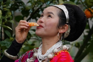 Deng_People_s_Resettlement_Transforms_Xizang_s_Economy_and_Culture