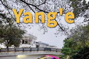 Discover_Yang_e_Village__A_Cultural_and_Culinary_Gem_in_South_China_s_Shunde video poster