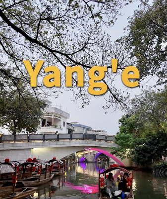Discover_Yang_e_Village__A_Cultural_and_Culinary_Gem_in_South_China_s_Shunde video poster