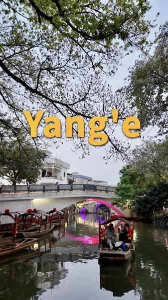 Discover_Yang_e_Village__A_Cultural_and_Culinary_Gem_in_South_China_s_Shunde video poster