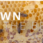 Empowering_Communities_Through_Ethical_Beekeeping_in_South_Africa video poster
