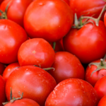 FIR69A4TGWN2DS51B4BX - Khabar Asia Xinjiang’s Saline Lands Bloom Into Fruit Hubs Through Tech Innovation