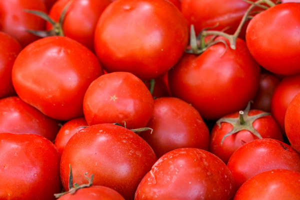 Xinjiang’s Saline Lands Bloom Into Fruit Hubs Through Tech Innovation