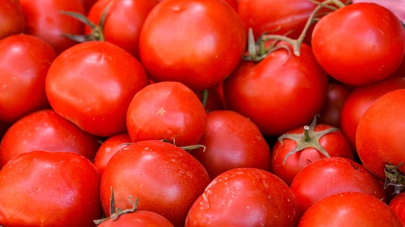 Xinjiang’s Saline Lands Bloom Into Fruit Hubs Through Tech Innovation