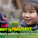 From_Poverty_to_Prosperity__Guizhou_Fuels_Global_Matcha_Boom_poster - Khabar Asia From_Poverty_to_Prosperity__Guizhou_Fuels_Global_Matcha_Boom video poster