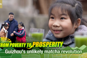 From_Poverty_to_Prosperity__Guizhou_Fuels_Global_Matcha_Boom video poster