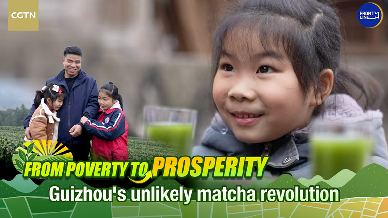 From_Poverty_to_Prosperity__Guizhou_Fuels_Global_Matcha_Boom video poster