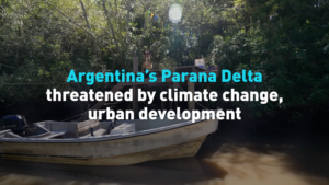 Paraná Delta Faces Dual Threats: Climate Change and Urban Expansion video poster