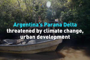 Paraná Delta Faces Dual Threats: Climate Change and Urban Expansion video poster