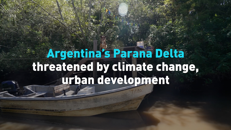 Paraná Delta Faces Dual Threats: Climate Change and Urban Expansion video poster