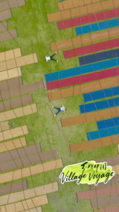 Unraveling the Craft of China’s ‘Soft Gold’: The Art of Gambiered Canton Gauze video poster