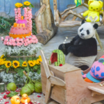 Giant_Pandas_Shine_as_Boao_Forum_2026_Kicks_Off_in_Hainan video poster