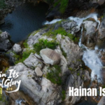 Hainan_s_Wuzhi_Mountain__A_Tropical_Haven_of_Biodiversity_in_2026 video poster