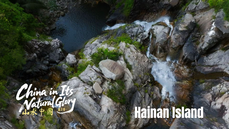 Hainan_s_Wuzhi_Mountain__A_Tropical_Haven_of_Biodiversity_in_2026 video poster