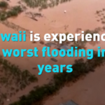 Hawaii_s_Worst_Flooding_in_Two_Decades_Impacts_Asian_Communities video poster