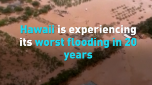 Hawaii_s_Worst_Flooding_in_Two_Decades_Impacts_Asian_Communities video poster