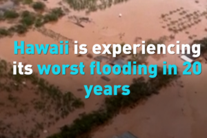 Hawaii_s_Worst_Flooding_in_Two_Decades_Impacts_Asian_Communities video poster