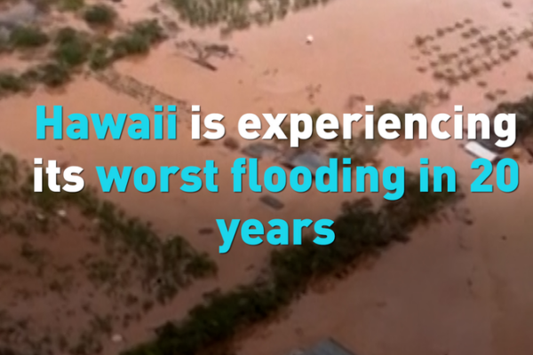 Hawaii_s_Worst_Flooding_in_Two_Decades_Impacts_Asian_Communities video poster