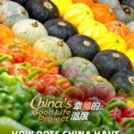 How_China_Transformed_Its_Vegetable_Supply_for_1_4_Billion video poster
