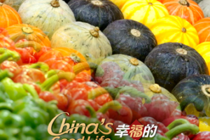 How_China_Transformed_Its_Vegetable_Supply_for_1_4_Billion video poster