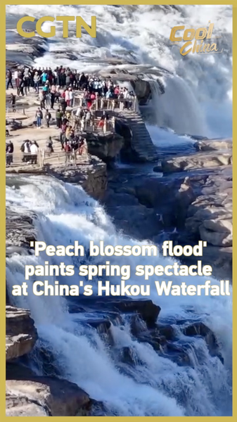 Hukou_Waterfall_s__Peach_Blossom_Flood__Captivates_Visitors_in_2026 video poster