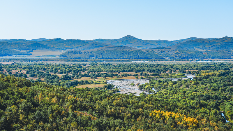 Inner_Mongolia_s_Green_Energy_Surge_Fuels_Economic_Growth_in_14th_Five_Year_Plan