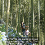 Anji’s Rural Revival: Blending Memory and Innovation in China’s Countryside video poster