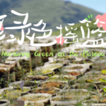 Lhasa_s_Barren_Hills_Transform_Into_Thriving_Green_Belt video poster