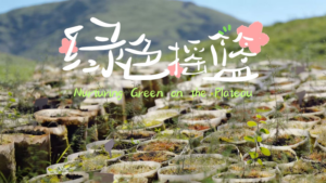 Lhasa_s_Barren_Hills_Transform_Into_Thriving_Green_Belt video poster