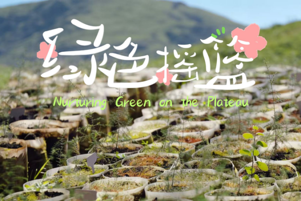 Lhasa_s_Barren_Hills_Transform_Into_Thriving_Green_Belt video poster