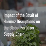 Middle_East_Conflict_Fuels_Sudan_s_Food_Security_Crisis video poster