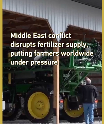 Middle_East_Tensions_Disrupt_Global_Fertilizer_Supply__Threaten_Food_Security video poster