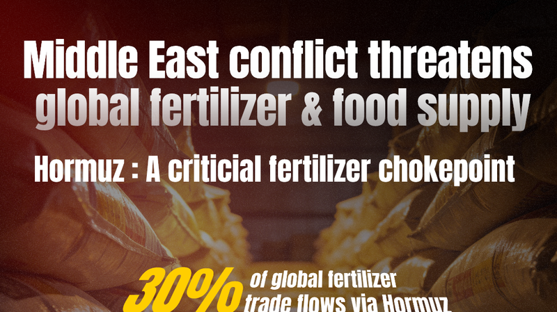 Middle_East_Tensions_Threaten_Global_Food_and_Fertilizer_Supply_Chains