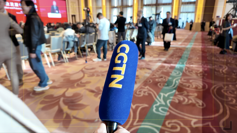 Multinationals_Voice_Confidence_in_China_s_Economic_Future_at_2026_Forum video poster