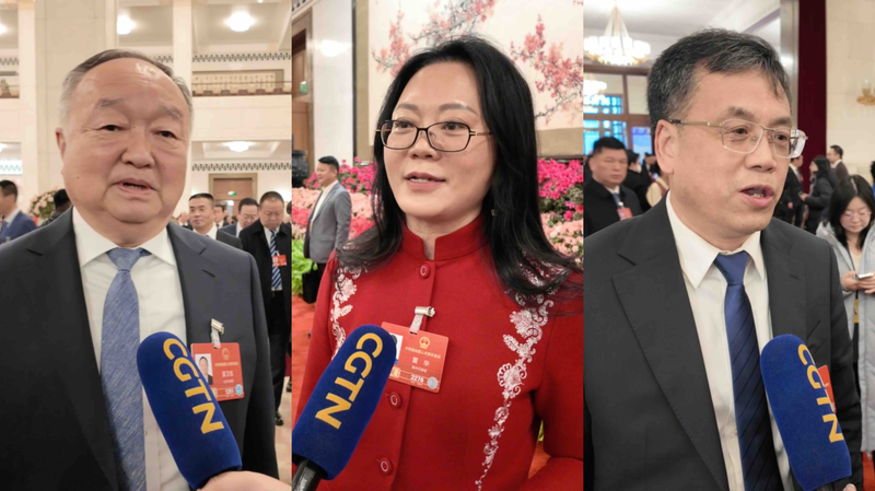 NPC_Deputies_Highlight_Innovation__Equity_in_2026_Government_Work_Report video poster