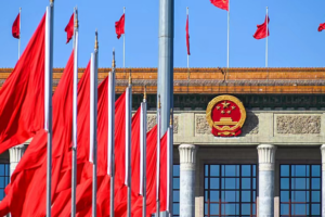 NPC_Ministers_Address_Economic_Priorities__Cross_Strait_Ties_in_Live_Q_A video poster