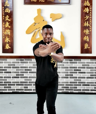 Namibian_Disciple_Embraces_Wing_Chun_in_Foshan video poster