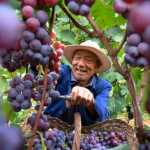 New_Book_Chronicles_Xi_s_Leadership_in_China_s_Historic_Poverty_Victory