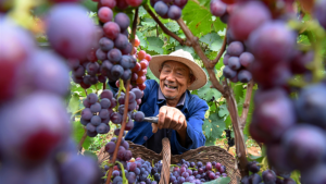 New_Book_Chronicles_Xi_s_Leadership_in_China_s_Historic_Poverty_Victory