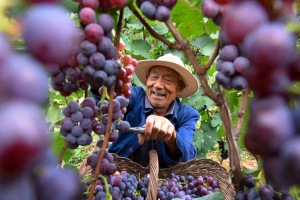 New_Book_Chronicles_Xi_s_Leadership_in_China_s_Historic_Poverty_Victory