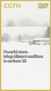Northern_US_Blizzard_Disrupts_Travel__Impacts_Global_Supply_Chains video poster